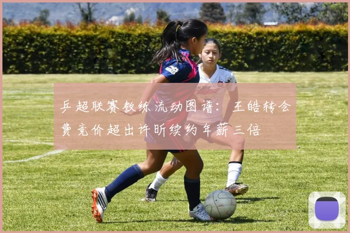 乒超联赛教练流动图谱：王皓转会费竞价超出许昕续约年薪三倍